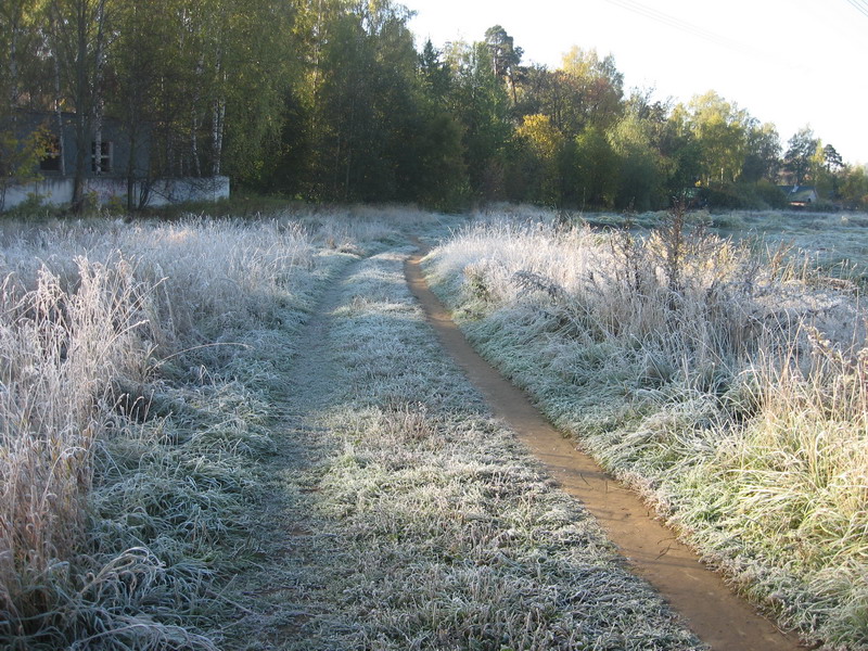 IMG_1133.jpg1.jpg"%20height="600"%20width="800